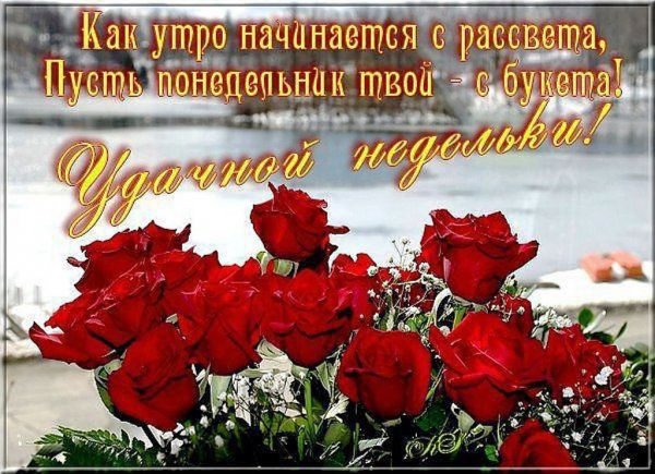 Красивые пожелания с добрым утром понедельник