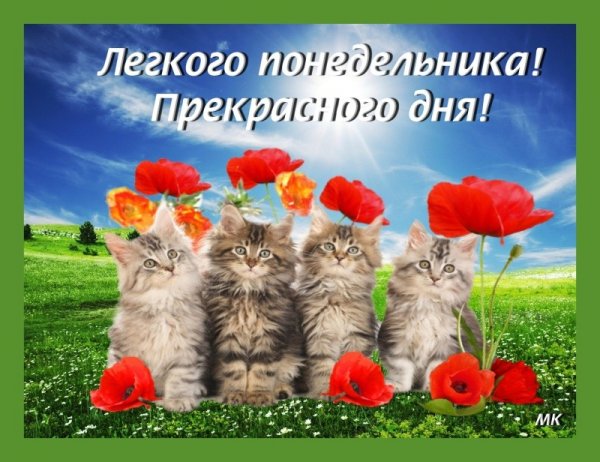 Хорошего понедельника и отличного настроения