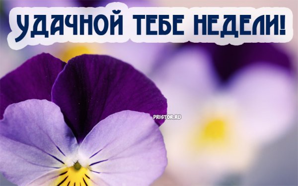 Хорошей недели картинки