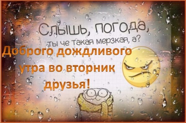 С добрым дождливым утром прикольные