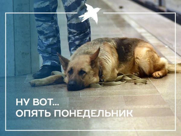 Понедельник дождь доброе утро