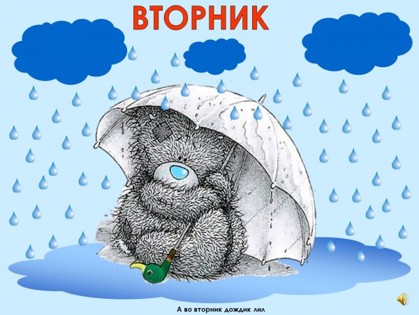 Дождливый вторник