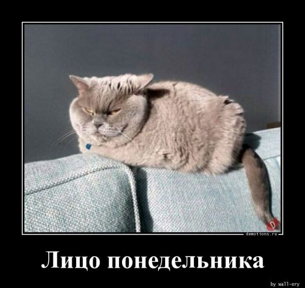 Добропожаловатт отсюда