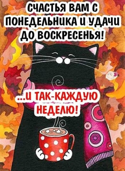 Отличного вечера понедельника