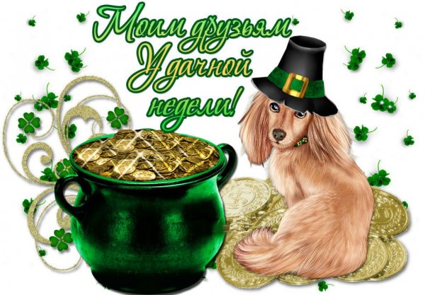 С новой неделей