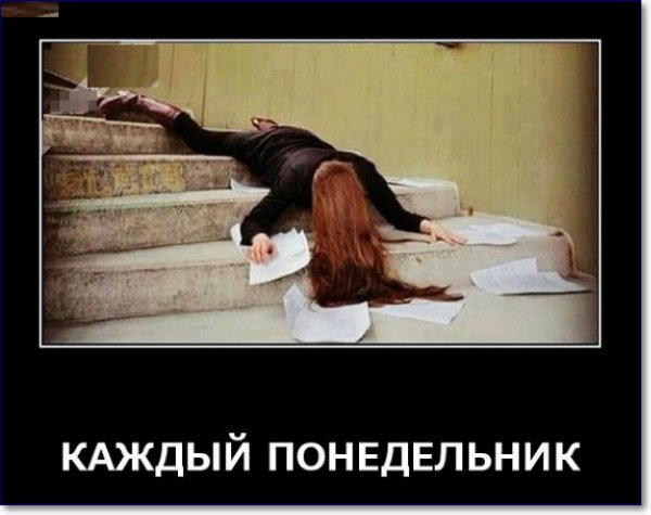 Понедельник приколы