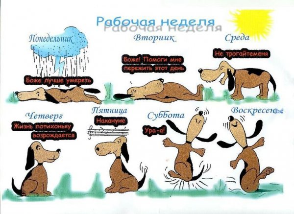 С рабочей неделей картинки прикольные