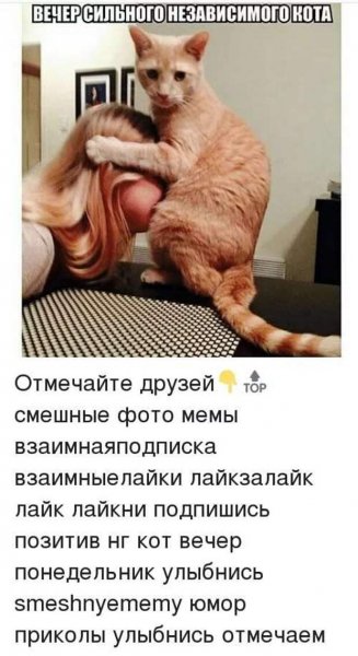 Приколы про вечер после работы