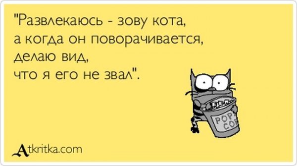 Живтоне чо чо упячка