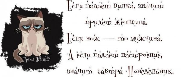 Смешные цитаты про вечер