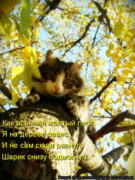 Осенний позитив в картинках с надписями