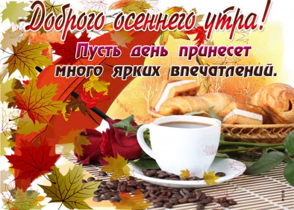 Осеннее утро понедельника