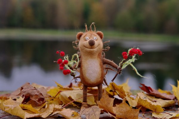 Осенний позитивчик