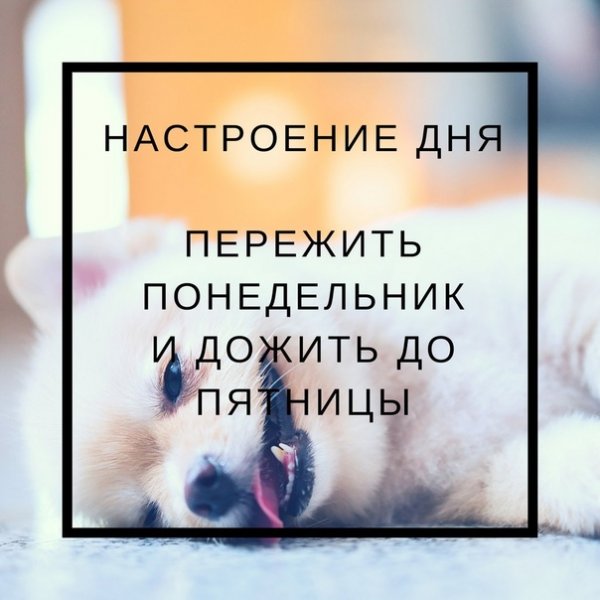 Настроение понедельник
