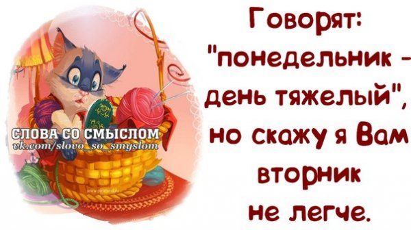 Высказывания про вторник