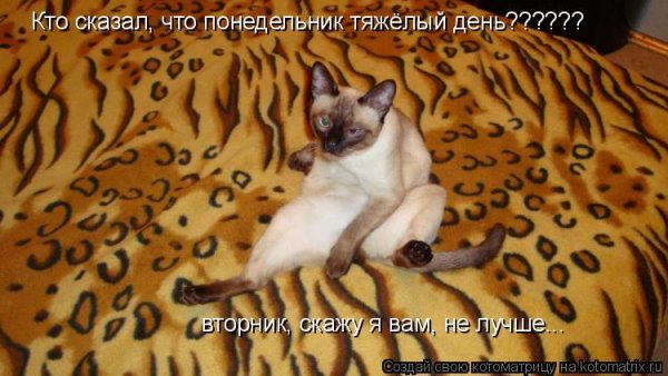 Вторник картинки