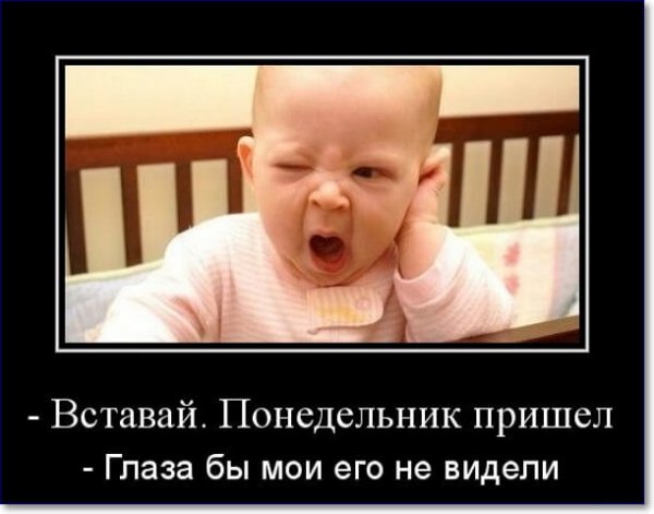 Понедельник приколы