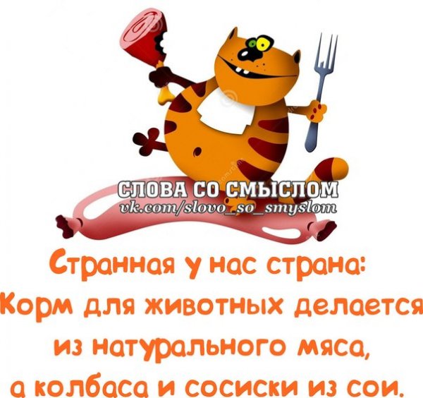 Хорошего начала дня прикольные