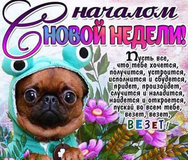 Открытки с понедельником