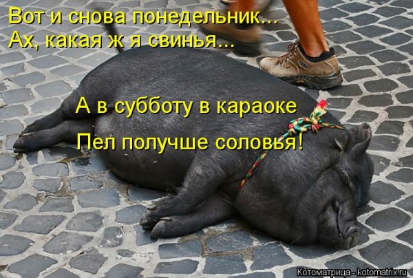 Вот и снова понедельник