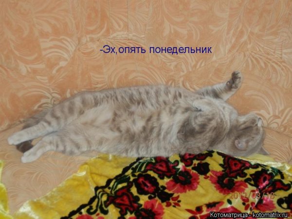 Эх понедельник