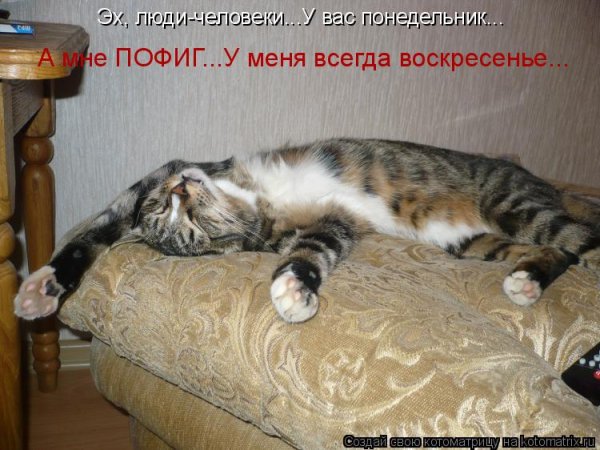 Воскресенье приколы