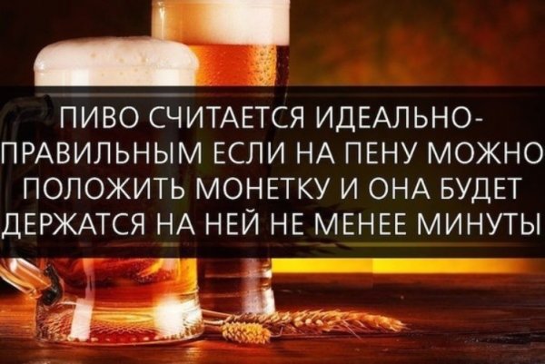 Интересные факты о пиве