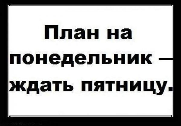 Планы на понедельник