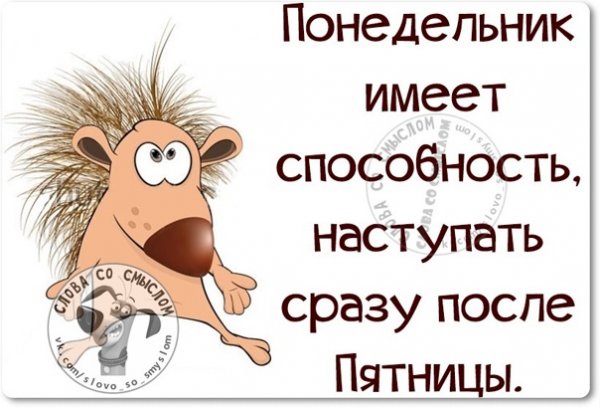 Высказывания про понедельник смешные