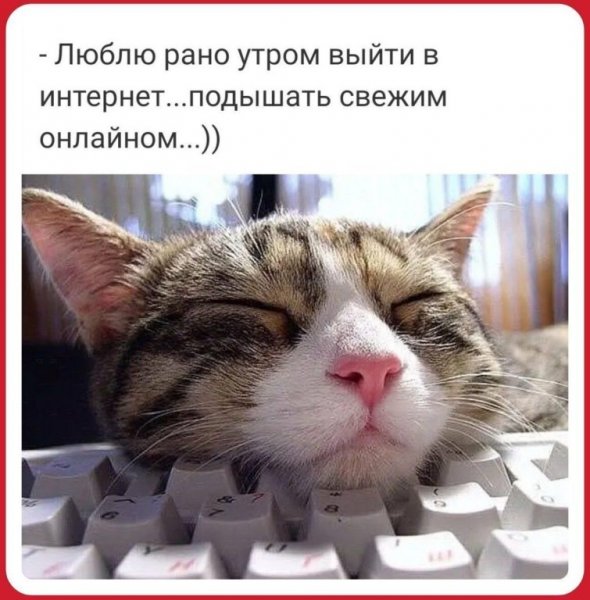 Понедельник приколы