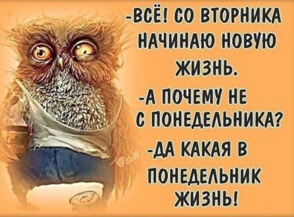 Цитаты про понедельник
