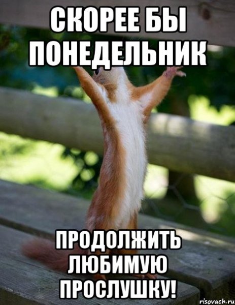 Скорей бы понедельник