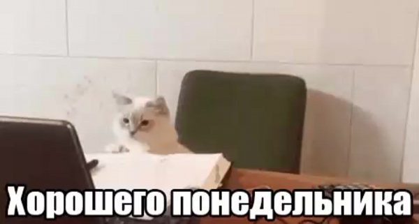 С понедельником гифки