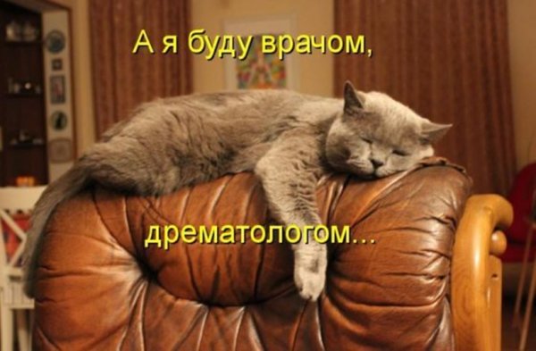 Шутки про понедельник