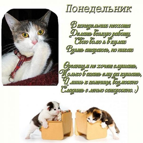 Открытки завтра понедельник