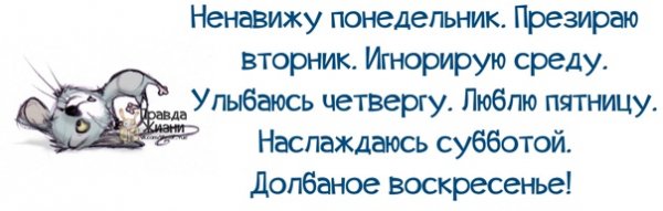 Ненавижу понедельник презираю вторник