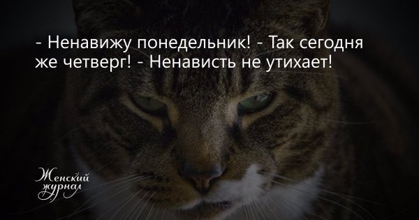 Сегодня четверг ненависть не утихает