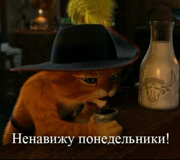 Кот из Шрека ненавижу Понедельники