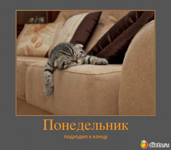 Понедельник приколы