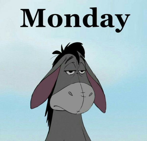 Monday Фанни