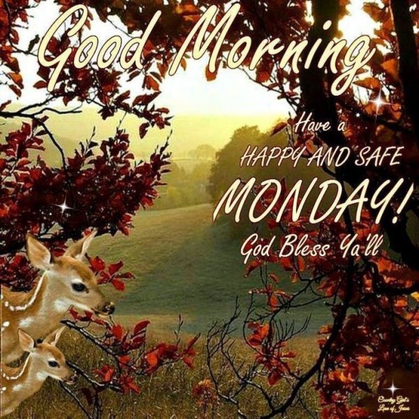 Good morning Monday