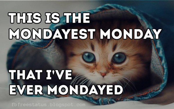 Monday morning funny