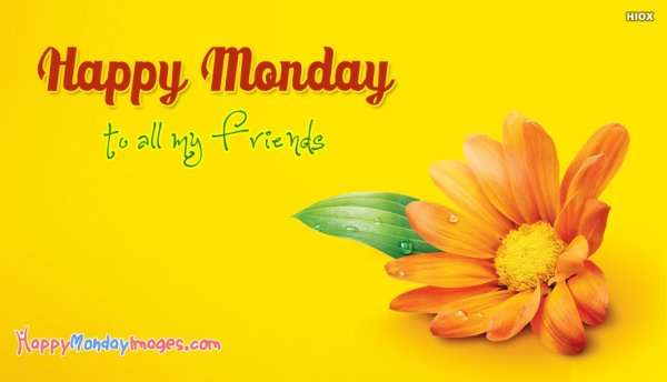 Happy Monday картинки красивые