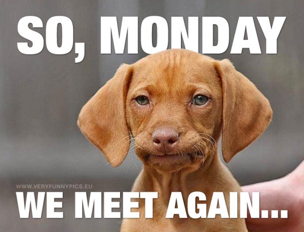 Monday Фанни