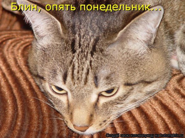 Опять понедельник