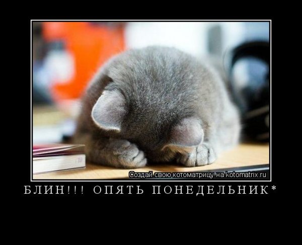 Блин опять понедельник