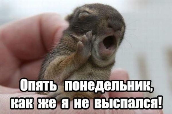И снова понедельник