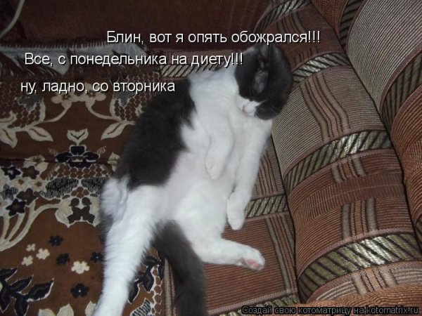 И снова понедельник