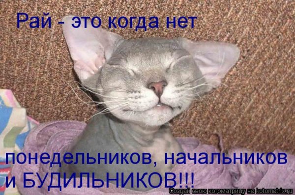 Я спать
