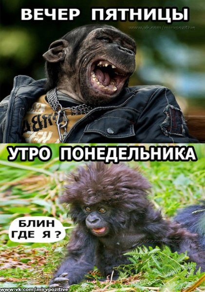 Понедельник пятница